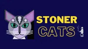 NFTs en la lupa de la SEC: ¿Qué sucedió con Stoner Cats?